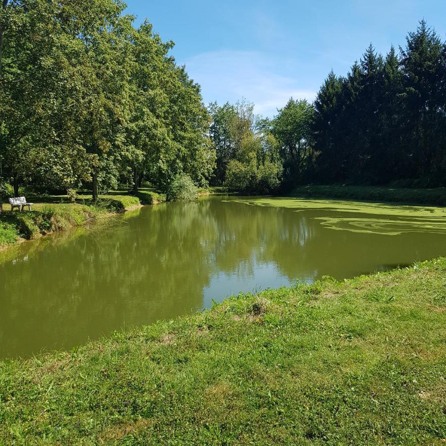 Sur La Route De Champ Colin Villa Saint-Denis-les-Rebais Exterior photo